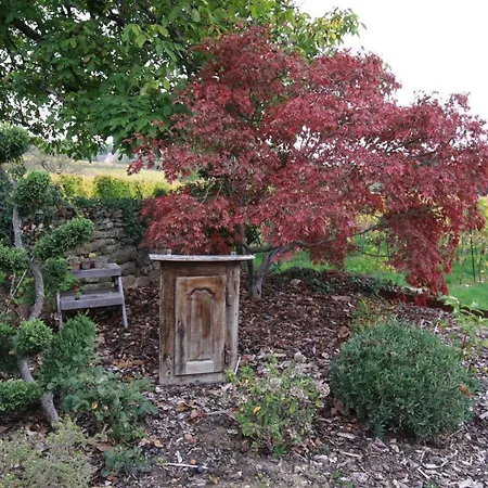 La Tour Des Fees-spa 4* Mittelbergheim