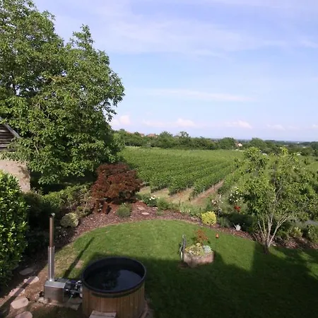 La Tour Des Fees-spa Mittelbergheim