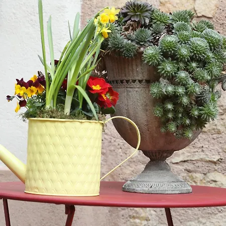 La Tour Des Fees-spa