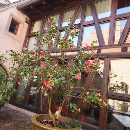 La Tour Des Fees-spa 4* Mittelbergheim