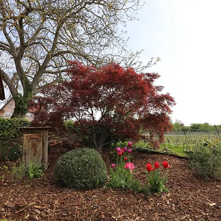 Frühstückspension La Tour Des Fees-spa